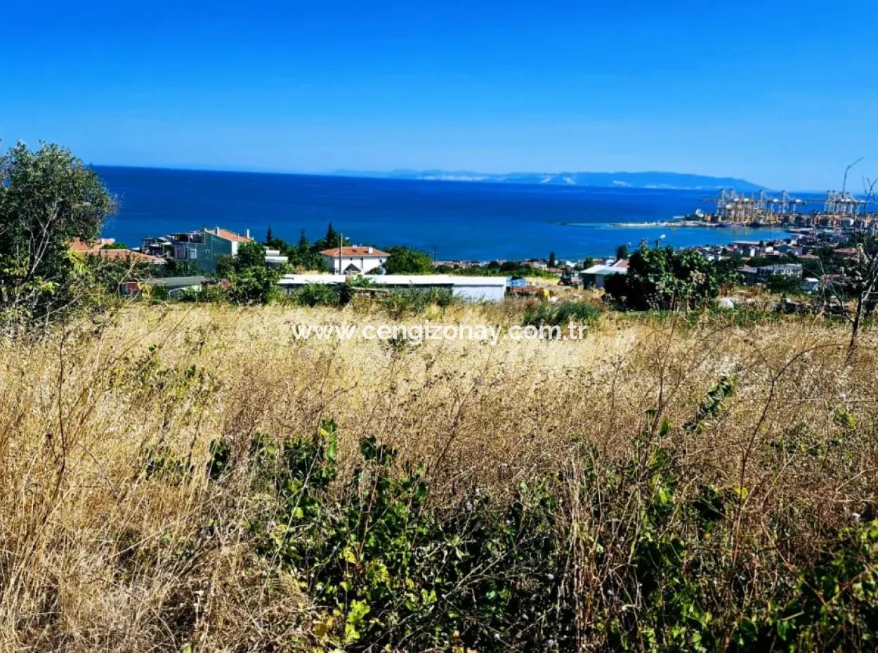 Erstaunliche Investitionsmöglichkeit Für 6 Villen Mit Meerblick In Tekirdag Süleymanpaşa Barbarossa!