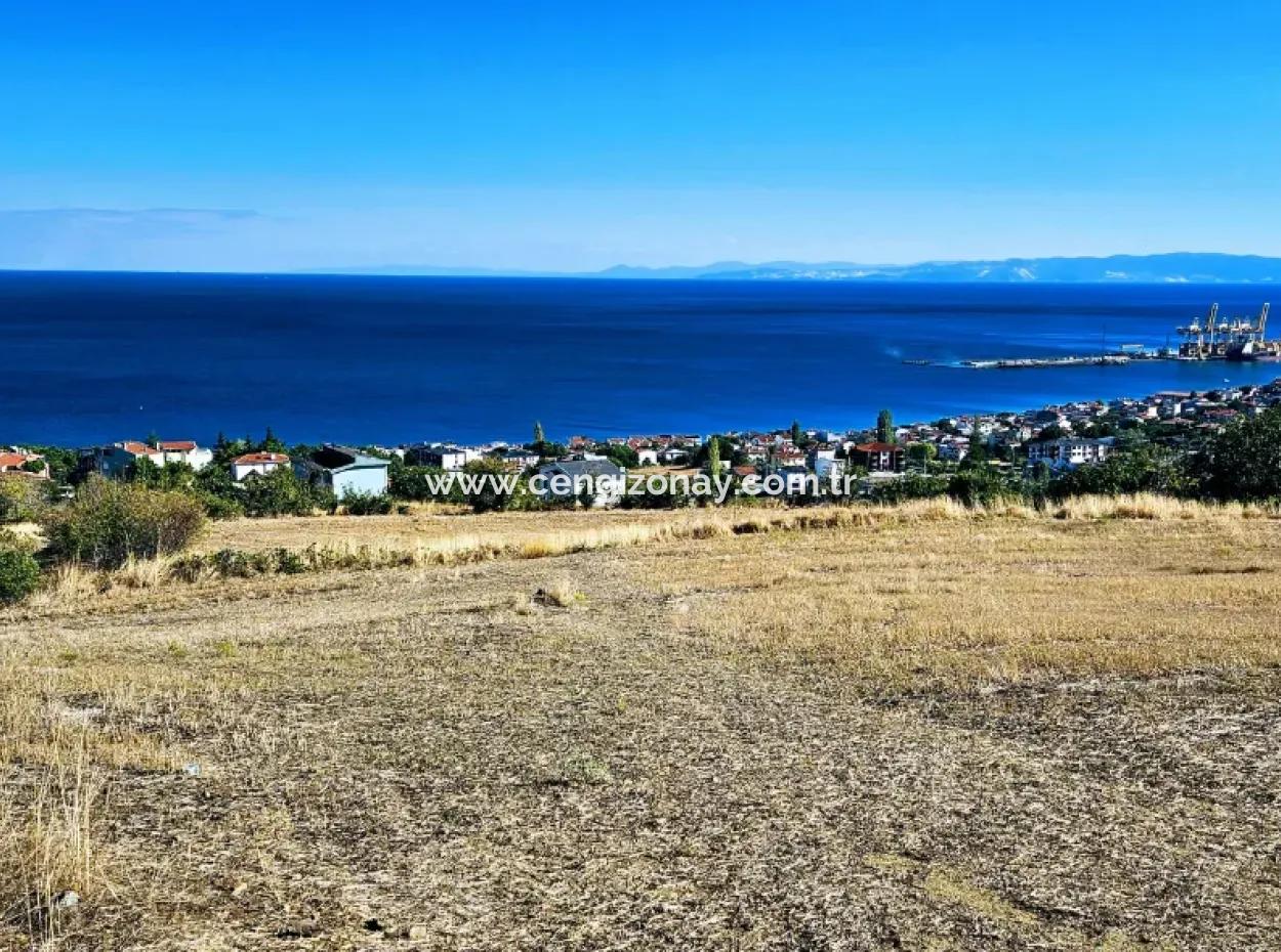 25 Wohnungen Mit Vollem Meerblick Gutscheinplatz Zum Dringenden Verkauf In Tekirdag Barbarosta