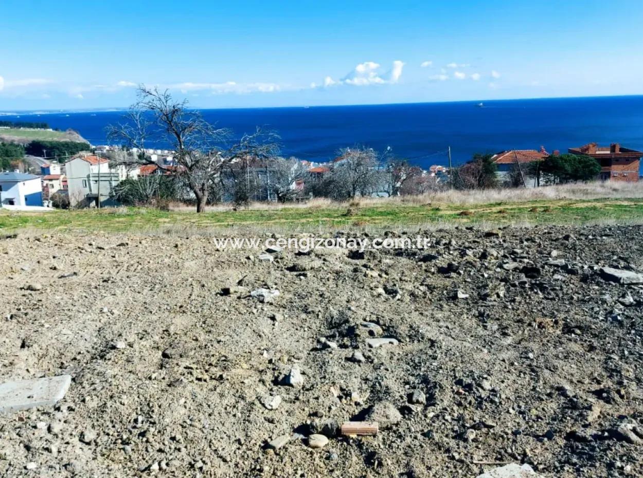 Gelegenheit Grundstück Geeignet Für Die Herstellung Ihres Einfamilienhauses Mit Pool In Ihrem Schwangeren Haus Zum Dringenden Verkauf In Tekirdag Barbarosta