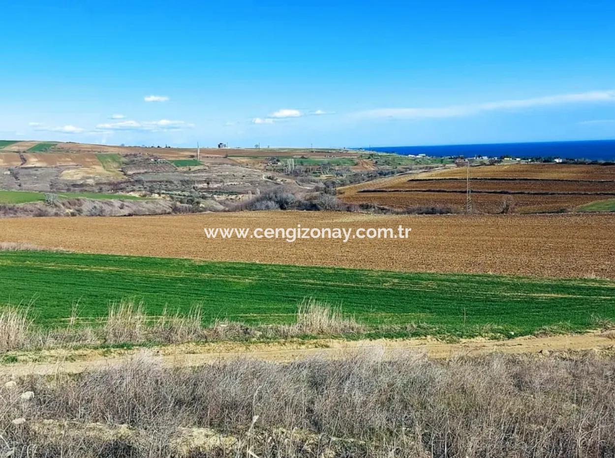 Dieses Grundstück In Tekirdağ Barbaros Ist Im Aktuellen Bebauungsplan Des Hafens Von Asyaport Enthalten Und Hat Ein Potenzial Für Gewerbe- Und Industriegebiete.