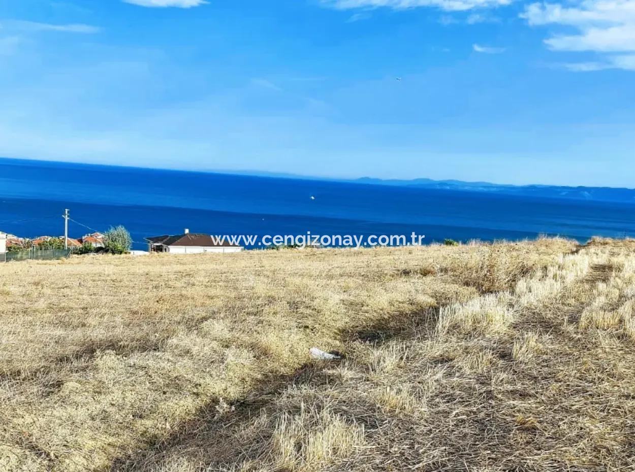 568 M2 Grundstück Mit Vollem Meerblick Zum Dringenden Verkauf In Tekirdag Barbarosta