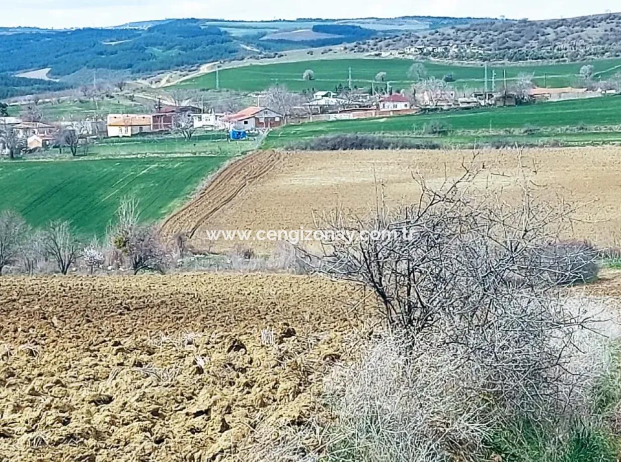 16.200 Quadratmeter Grundstück Zum Verkauf Im Stadtteil Süleymanpaşa Yazır Von Tekirdağ