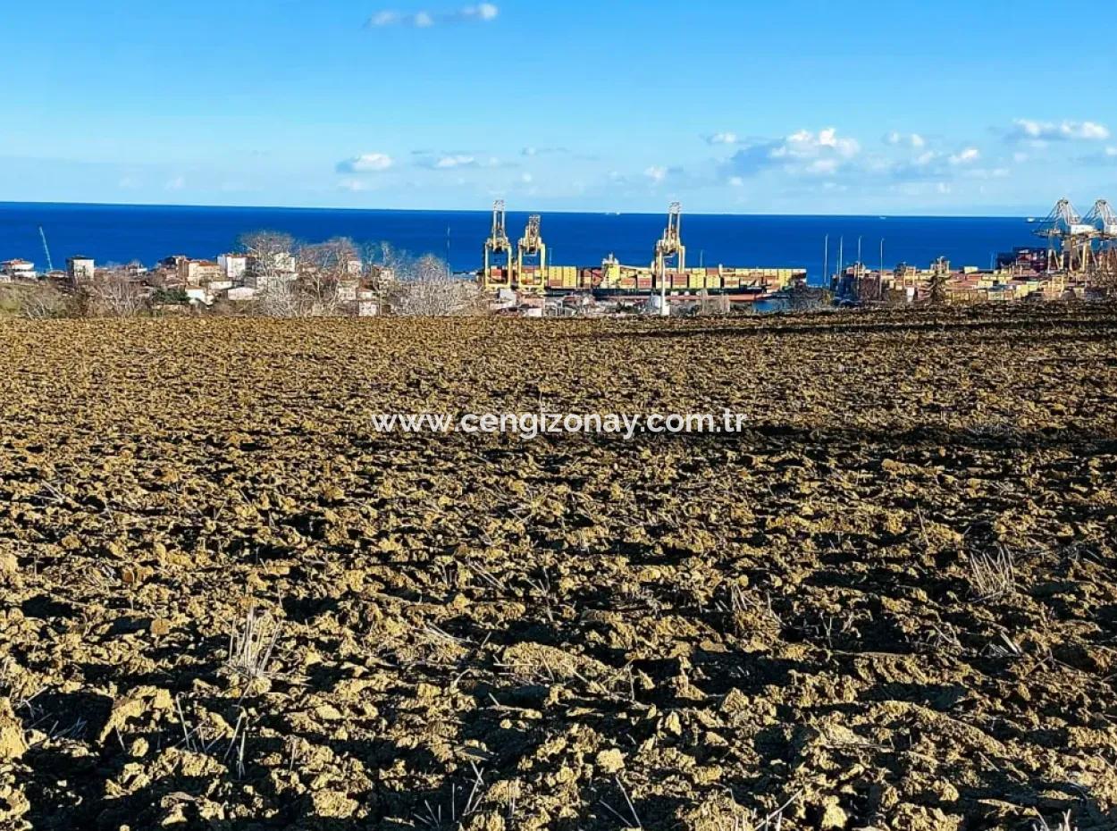 18 100 M2 Wohngebiet Ganz In Der Nähe Des Hafens Tekirdağ Barbaros Asyaport