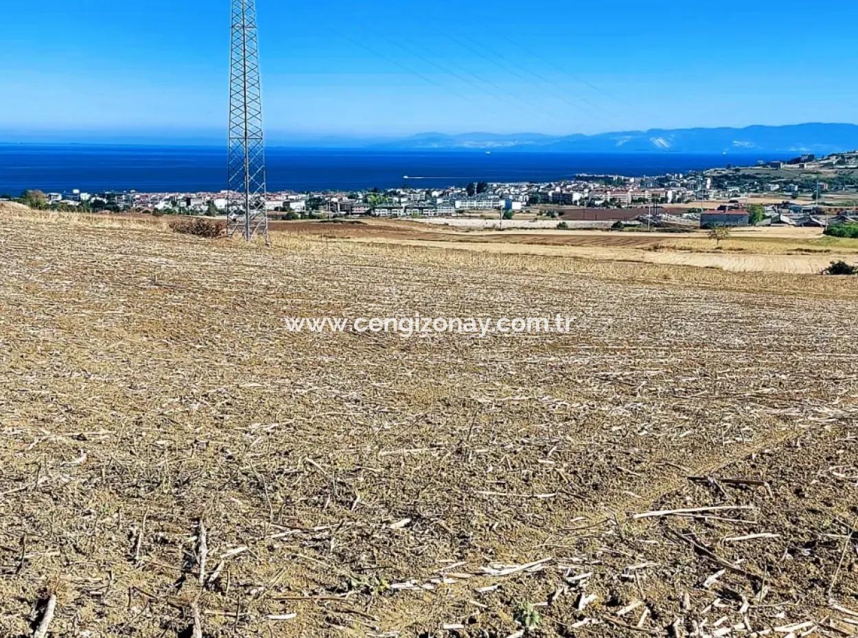 Das 21.900 M2 Große Grundstück In Tekirdağ Barbaros Befindet Sich Innerhalb Des Aktuellen Bebauungsplans Von Asyaport Port