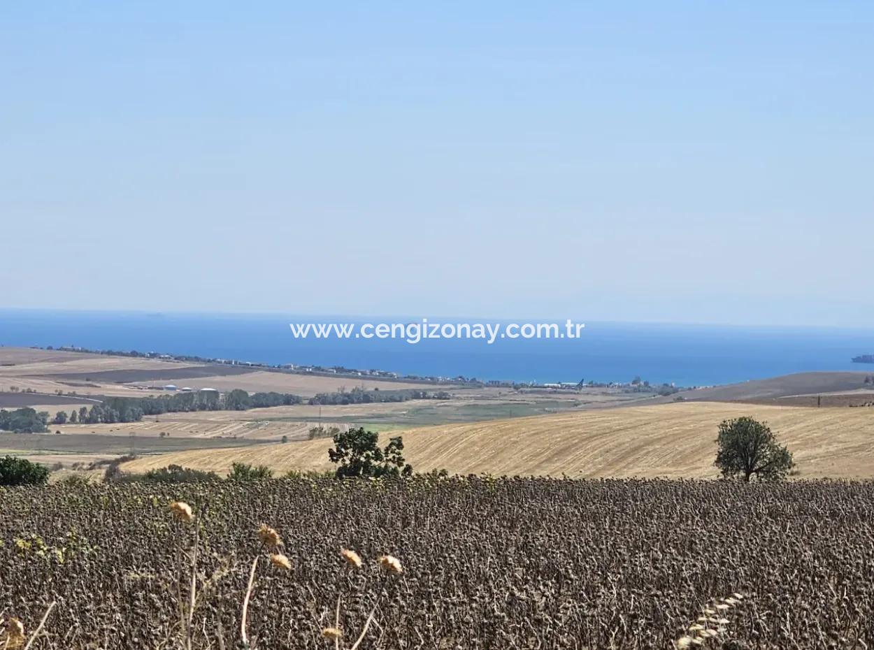 9.300 M2 Investitionsfeld Mit Blick Auf Das Meer Und Die Natur In Tekirdağ Husunlu! Ideale Gelegenheit Für Familienpicknick, Weinbau Oder Tiny-House-Projekt