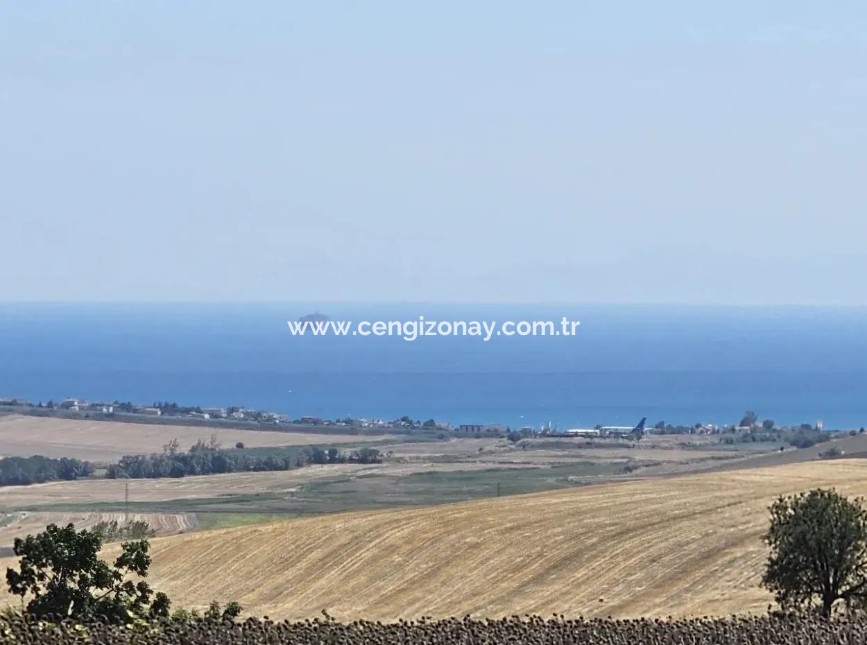 9.300 M2 Investitionsfeld Mit Blick Auf Das Meer Und Die Natur In Tekirdağ Husunlu! Ideale Gelegenheit Für Familienpicknick, Weinbau Oder Tiny-House-Projekt