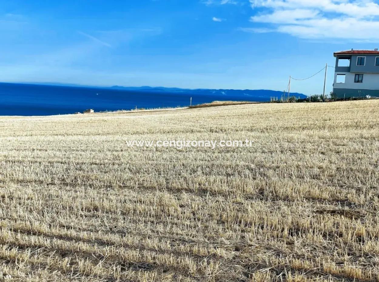 Vollständiges Grundstück Mit Meer- Und Naturblick Zum Notverkauf In Barbaros, Tekirdag