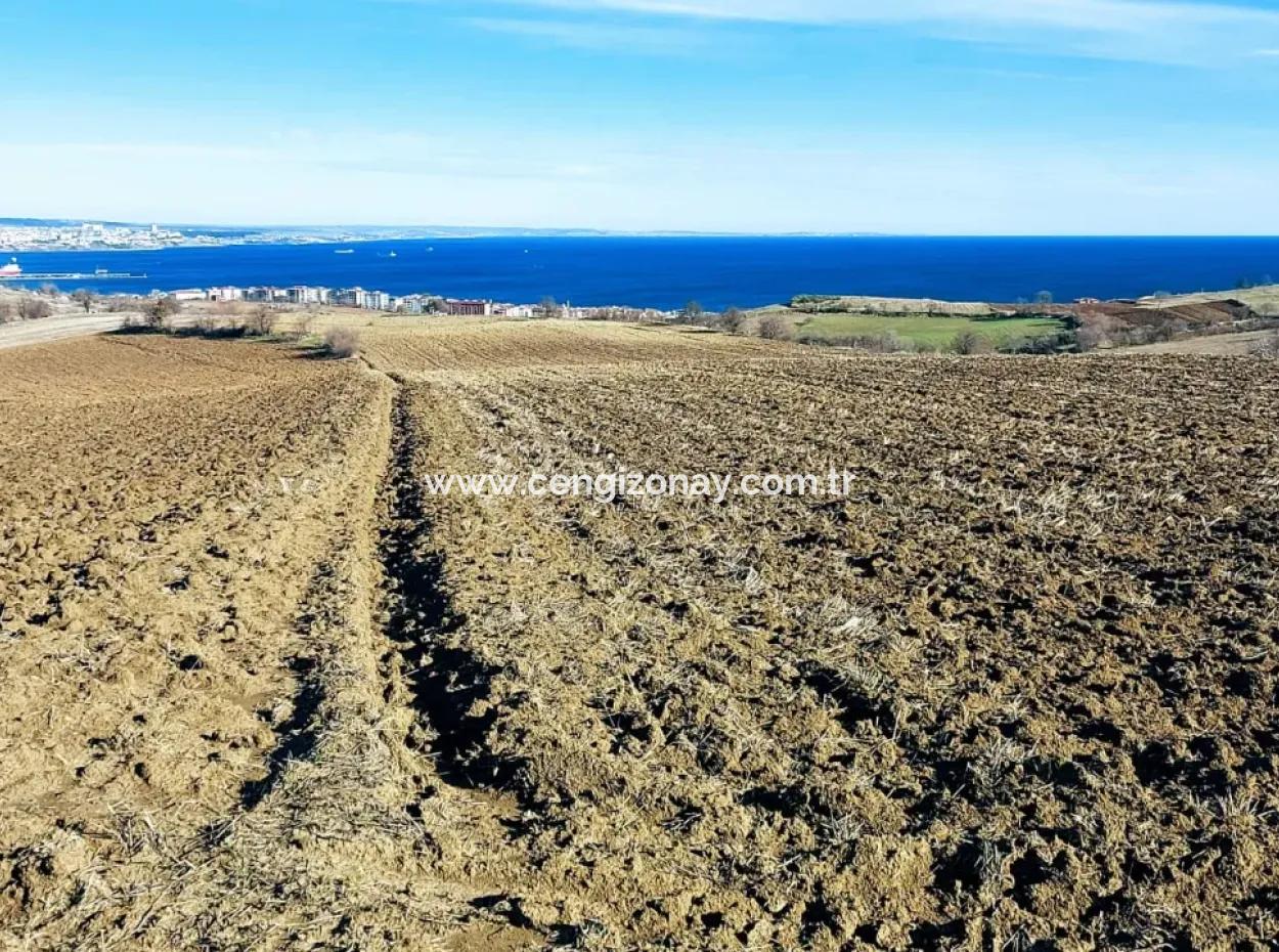 34.500 M2 Villa Mit Meerblick Zum Dringenden Verkauf In Tekirdag Barbarosta Zoned Bargain Place