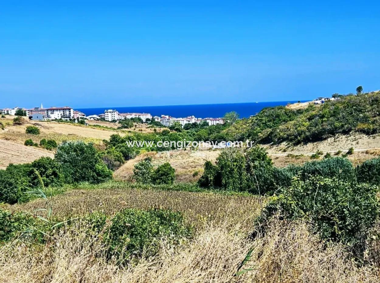 9.100 M2 Villa Zoniertes Feld Zum Dringenden Verkauf In Tekirdag Barbarosta