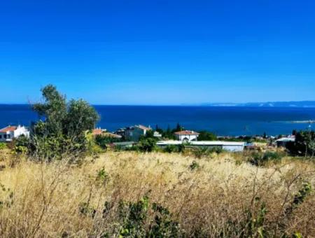 Erstaunliche Investitionsmöglichkeit Für 6 Villen Mit Meerblick In Tekirdag Süleymanpaşa Barbarossa!