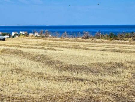 8.500 M2 Wohngebiet Zum Dringenden Verkauf In Der Nähe Des Hafens Von Asyaport