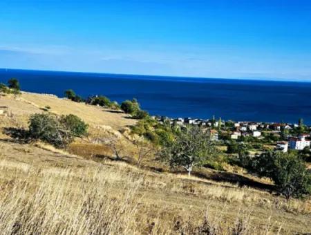 532 M2 Eckgrundstück Zum Verkauf In Tekirdag Süleymanpaşa Barbaros Nachbarschaft Mit Herrlichem Meer- Und Naturblick