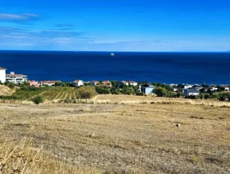 25 Wohnungen Mit Vollem Meerblick Gutscheinplatz Zum Dringenden Verkauf In Tekirdag Barbarosta