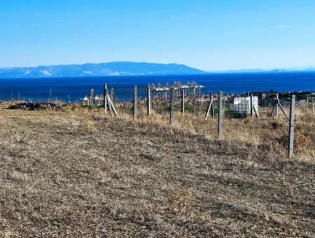 765 M2 Schnäppchengrundstück Mit Vollem Meerblick Zum Dringenden Verkauf In Tekirdag Barbarosta