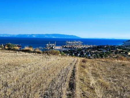 765 M2 Schnäppchengrundstück Mit Vollem Meerblick Zum Dringenden Verkauf In Tekirdag Barbarosta