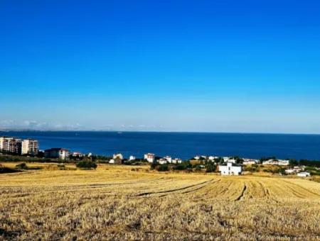 1.750 M2 Schnäppchen-Eckgrundstück Mit Vollem Meerblick Zum Dringenden Verkauf In Tekirdag Barbarosta