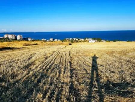 1.750 M2 Schnäppchen-Eckgrundstück Mit Vollem Meerblick Zum Dringenden Verkauf In Tekirdag Barbarosta