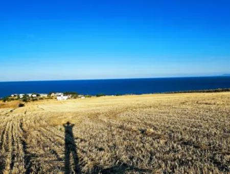 1.750 M2 Schnäppchen-Eckgrundstück Mit Vollem Meerblick Zum Dringenden Verkauf In Tekirdag Barbarosta