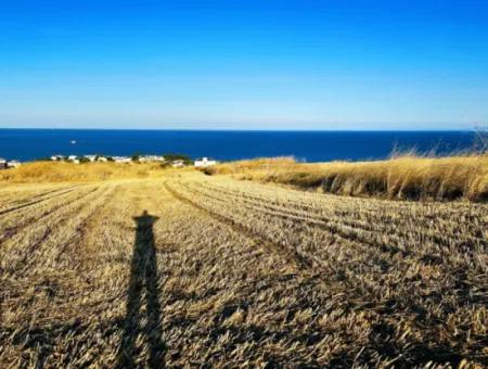 1.750 M2 Schnäppchen-Eckgrundstück Mit Vollem Meerblick Zum Dringenden Verkauf In Tekirdag Barbarosta