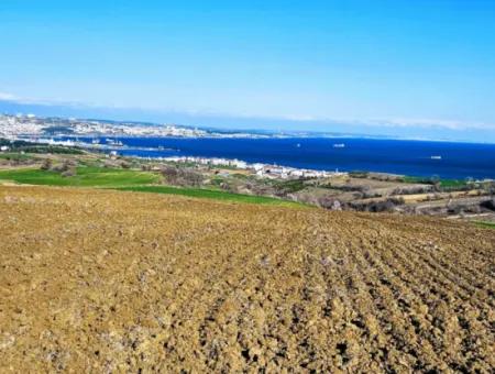 6.400 M2 Villa Zoniertes Grundstück Mit Vollem Meerblick Villa Zum Dringenden Verkauf In Tekirdag Barbarosta