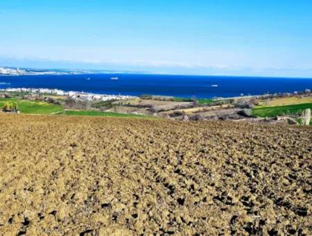 6.400 M2 Villa Zoniertes Grundstück Mit Vollem Meerblick Villa Zum Dringenden Verkauf In Tekirdag Barbarosta