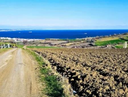 6.400 M2 Villa Zoniertes Grundstück Mit Vollem Meerblick Villa Zum Dringenden Verkauf In Tekirdag Barbarosta