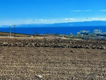 5.400 M2 Hoher Gewinn Garantierte Gelegenheit Platz Im Bereich Der Fabriken Für Den Dringenden Verkauf