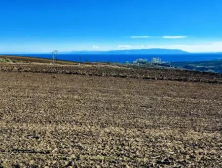 5.400 M2 Hoher Gewinn Garantierte Gelegenheit Platz Im Bereich Der Fabriken Für Den Dringenden Verkauf