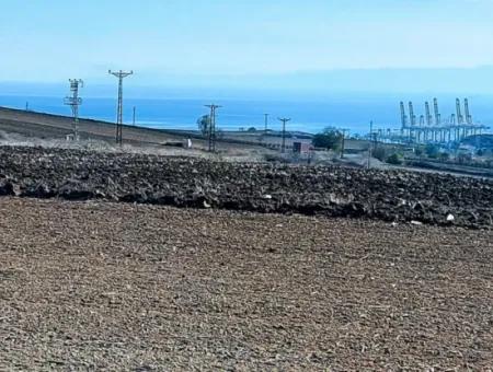 34 000 M2 Mietfläche In Tekirdağ Süleymanpaşa Barbaros Nachbarschaft