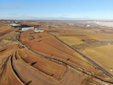 34 000 M2 Mietfläche In Tekirdağ Süleymanpaşa Barbaros Nachbarschaft