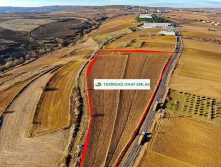 34 000 M2 Mietfläche In Tekirdağ Süleymanpaşa Barbaros Nachbarschaft