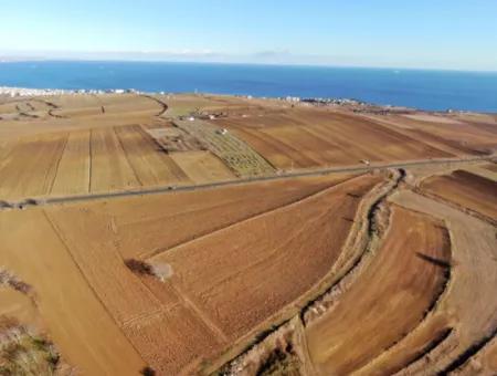 34 000 M2 Mietfläche In Tekirdağ Süleymanpaşa Barbaros Nachbarschaft