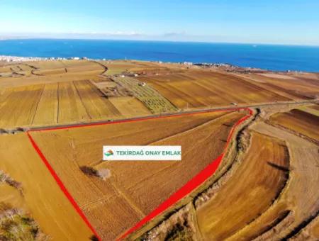 34 000 M2 Mietfläche In Tekirdağ Süleymanpaşa Barbaros Nachbarschaft