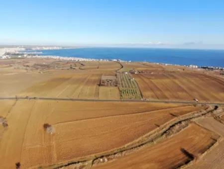 34 000 M2 Mietfläche In Tekirdağ Süleymanpaşa Barbaros Nachbarschaft