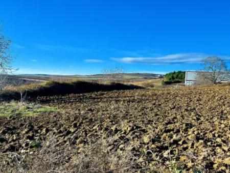 34 000 M2 Mietfläche In Tekirdağ Süleymanpaşa Barbaros Nachbarschaft