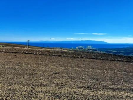 34 000 M2 Mietfläche In Tekirdağ Süleymanpaşa Barbaros Nachbarschaft