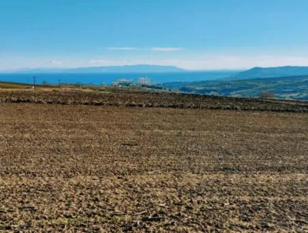 34 000 M2 Mietfläche In Tekirdağ Süleymanpaşa Barbaros Nachbarschaft