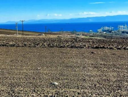 34 000 M2 Mietfläche In Tekirdağ Süleymanpaşa Barbaros Nachbarschaft