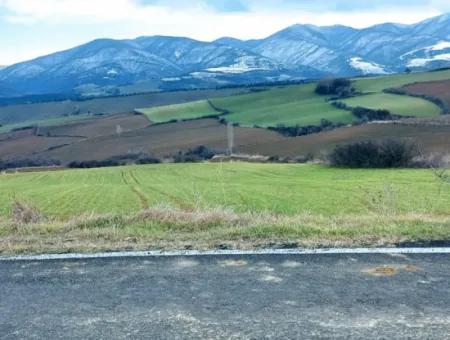 Feld Zum Verkauf In Tekirdağ Süleymanpaşa Işıklar Mahallesi