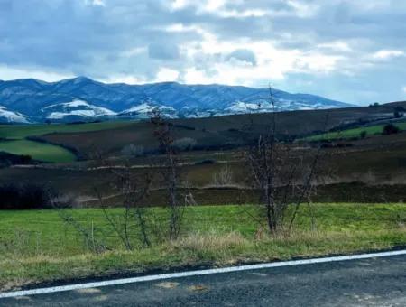 Feld Zum Verkauf In Tekirdağ Süleymanpaşa Işıklar Mahallesi