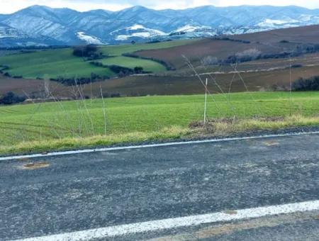 Feld Zum Verkauf In Tekirdağ Süleymanpaşa Işıklar Mahallesi