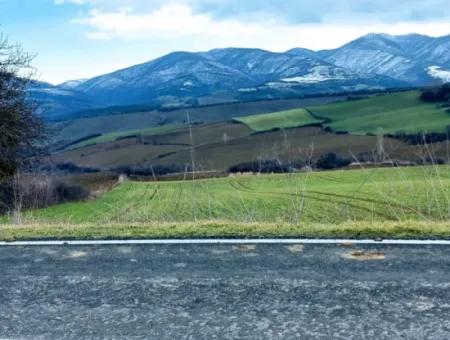 Feld Zum Verkauf In Tekirdağ Süleymanpaşa Işıklar Mahallesi