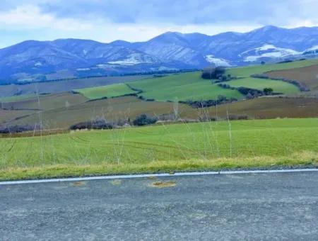 Feld Zum Verkauf In Tekirdağ Süleymanpaşa Işıklar Mahallesi