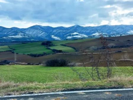 Feld Zum Verkauf In Tekirdağ Süleymanpaşa Işıklar Mahallesi