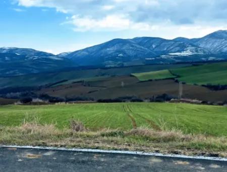 Feld Zum Verkauf In Tekirdağ Süleymanpaşa Işıklar Mahallesi