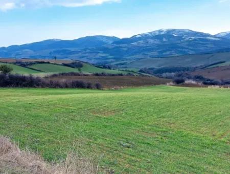 Feld Zum Verkauf In Tekirdağ Süleymanpaşa Işıklar Mahallesi