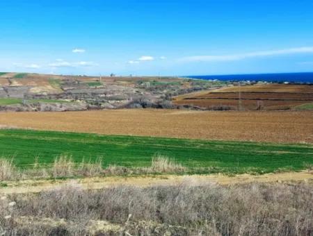 Dieses Grundstück In Tekirdağ Barbaros Ist Im Aktuellen Bebauungsplan Des Hafens Von Asyaport Enthalten Und Hat Ein Potenzial Für Gewerbe- Und Industriegebiete.