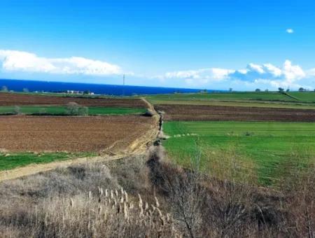 Dieses Grundstück In Tekirdağ Barbaros Ist Im Aktuellen Bebauungsplan Des Hafens Von Asyaport Enthalten Und Hat Ein Potenzial Für Gewerbe- Und Industriegebiete.