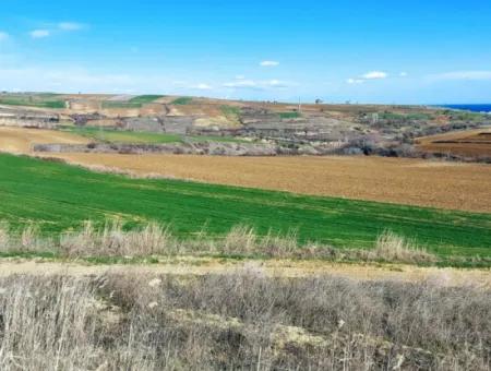 Dieses Grundstück In Tekirdağ Barbaros Ist Im Aktuellen Bebauungsplan Des Hafens Von Asyaport Enthalten Und Hat Ein Potenzial Für Gewerbe- Und Industriegebiete.