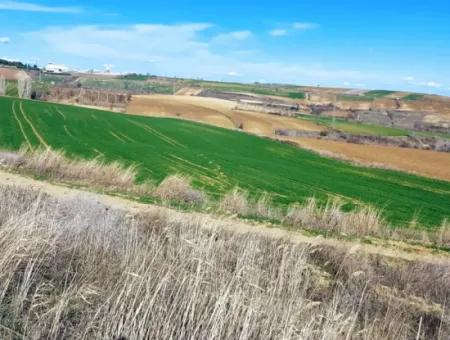 Dieses Grundstück In Tekirdağ Barbaros Ist Im Aktuellen Bebauungsplan Des Hafens Von Asyaport Enthalten Und Hat Ein Potenzial Für Gewerbe- Und Industriegebiete.